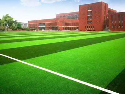 威腾免填充人造草坪系统入选国际足联(FIFA)创新计划项目