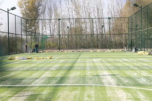 我家每天不一样 打球,约不 这下好了,不出村就有专业球场