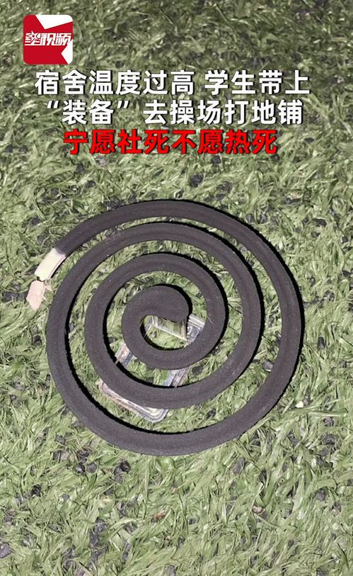 宿舍温度过高,学生带上 装备 去操场打地铺 宁愿社死不愿热死