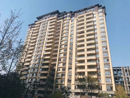 南京精装现房交付盛况，业主激动难抑，打地铺共庆新居