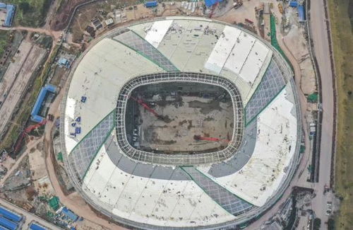 一龙一凤构筑重庆发展新格局 体育场地铺装的创新实践