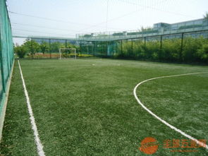 专业楼顶运动场围网与体育场地铺装解决方案