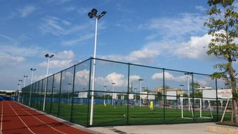 篮球场照明与地面铺装的选择 LED灯具与其他灯具的对比分析