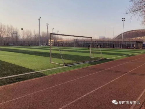 狮子女的周末 体育场地铺装的专业之旅