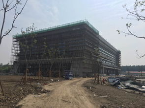 2018年6月7日至6月13日体育场地铺装现场工作纪实