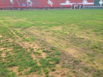 足协监督建业主场整改，工作组实地验收体育场地铺装成果