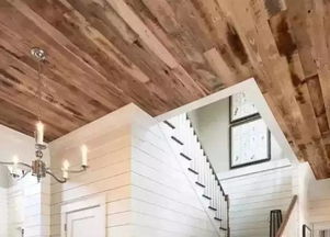 地板巧做吊顶 体育场馆的惊艳天花板革命