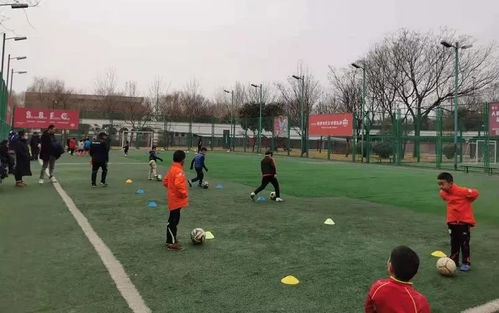 曲江运动场地指南 优质体育场地铺装推荐